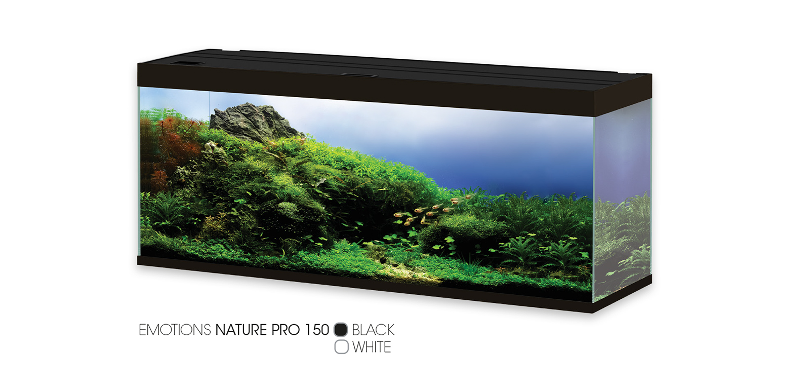 CIANO EMOTIONS NATURE PRO 150