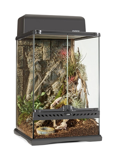 AZTEC TERRARIUM MINI TALL