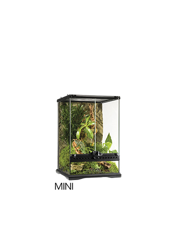 GLASS TERRARIUM TALL