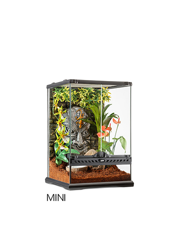 TIKI TERRARIUM TALL