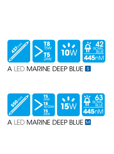 A LED MARINE DEEP BLUE