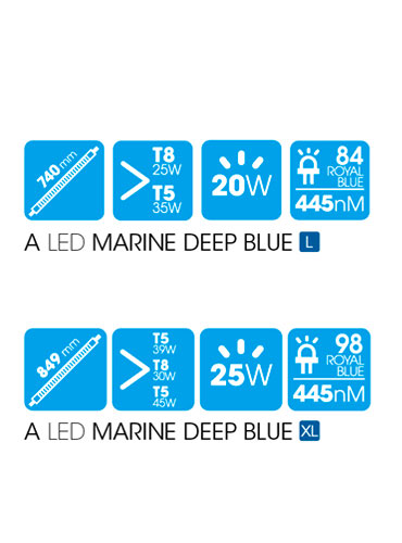 A LED MARINE DEEP BLUE