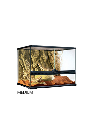 GLASS TERRARIUM WIDE