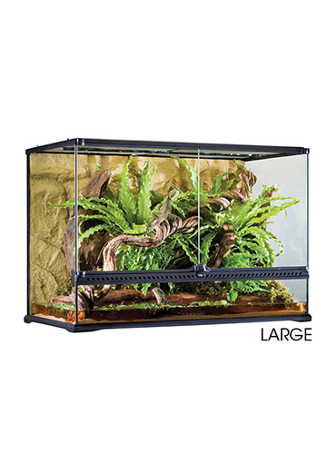 GLASS TERRARIUM TALL