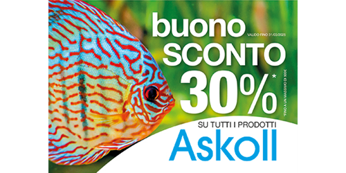 Askoll & Acquario di Cala Gonone