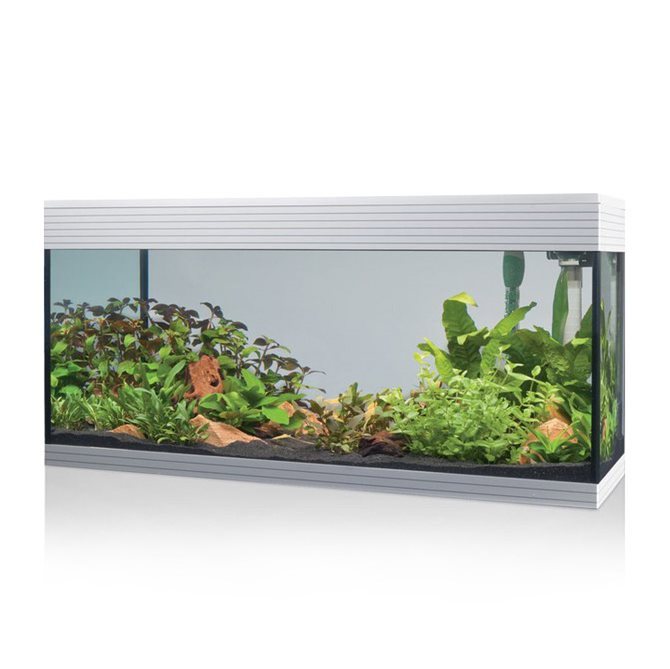 KIT ASKOLL RETROFIT ILLUMINAZIONE LAMPADA LED PER ACQUARIO PURE XL ROSSO -  ACQUARI