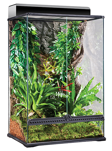 GLASS TERRARIUM X-TALL