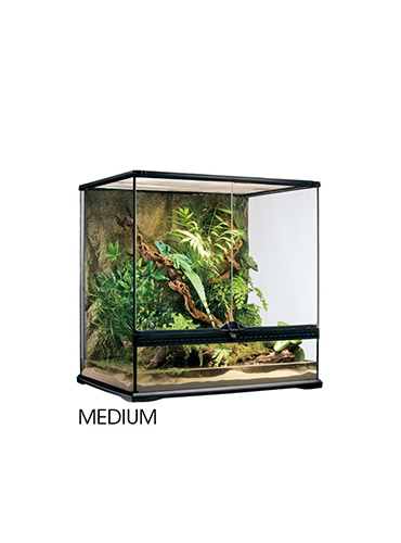 GLASS TERRARIUM TALL