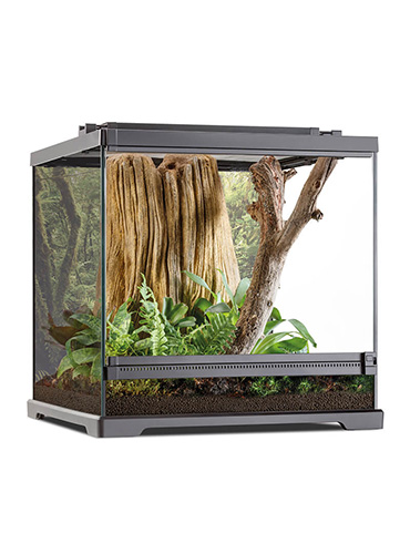 DART FROG TERRARIUM