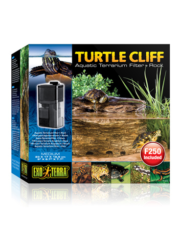 TURTLE CLIFF 