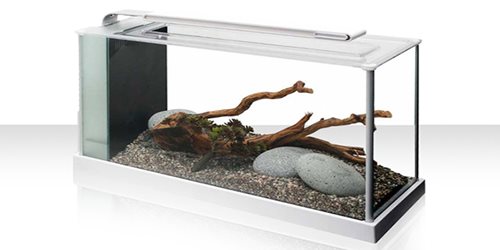 FLUVAL SPEC Mini acquario per sguardi lunghi e contemplativi