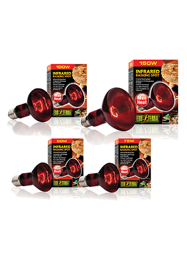 HEAT GLO INFRARED HEAT LAMP