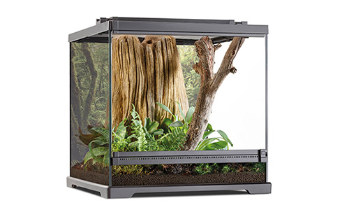 DART FROG TERRARIUM