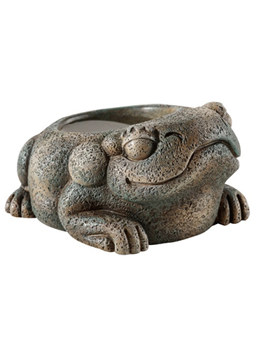 AZTEC FROG WATER DISH