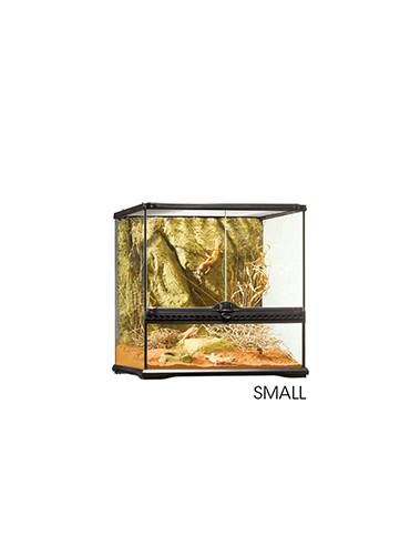 GLASS TERRARIUM WIDE