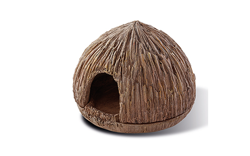 COCONUT CAVE
