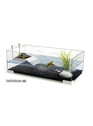 TARTARIUM 40 | 60 | 80