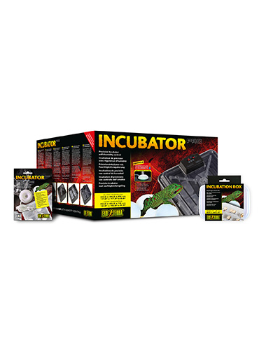 INCUBATOR PRO