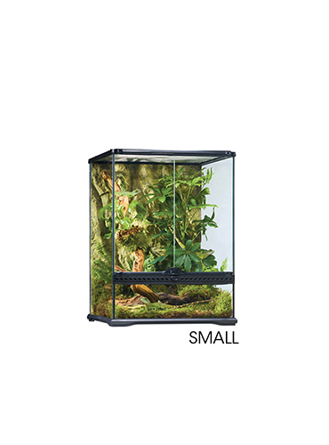 GLASS TERRARIUM TALL