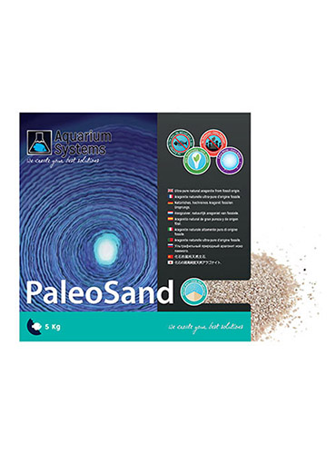 PALEO SAND