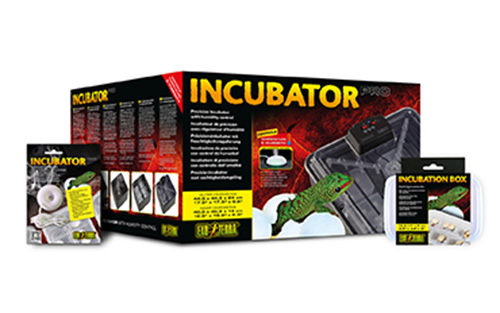 INCUBATOR PRO