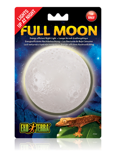 FULL MOON