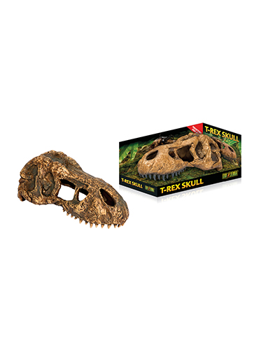 T-REX SKULL